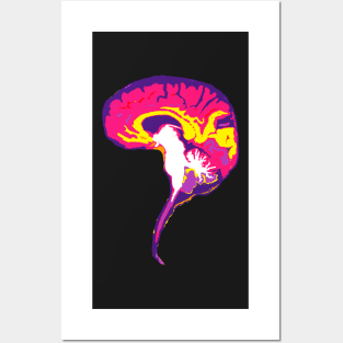 Brain with Brainstem in Vibrant Colors Posters and Art